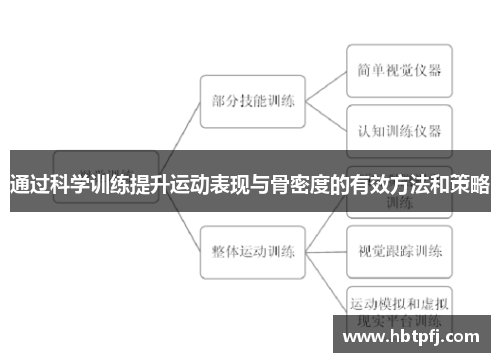 通过科学训练提升运动表现与骨密度的有效方法和策略